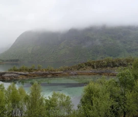 Foto aus „Die E10 im Regen: Von mystischen Momenten, Dauerbaustellen und Fiskekaker-Burgern vom Assistenzsystem“