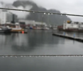 Foto aus „Die E10 im Regen: Von mystischen Momenten, Dauerbaustellen und Fiskekaker-Burgern vom Assistenzsystem“