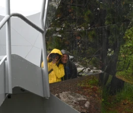 Foto aus „Die E10 im Regen: Von mystischen Momenten, Dauerbaustellen und Fiskekaker-Burgern vom Assistenzsystem“