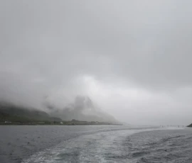 Foto aus „50 Shades of Trollfjord-Grey: Orcas im Wellengang und der große Instagram-Fußballfeld-Fail!“