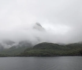 Foto aus „50 Shades of Trollfjord-Grey: Orcas im Wellengang und der große Instagram-Fußballfeld-Fail!“