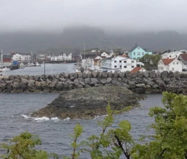 Foto aus „50 Shades of Trollfjord-Grey: Orcas im Wellengang und der große Instagram-Fußballfeld-Fail!“