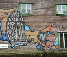 Foto aus „50 Shades of Trollfjord-Grey: Orcas im Wellengang und der große Instagram-Fußballfeld-Fail!“