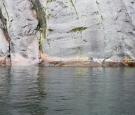 Foto aus „50 Shades of Trollfjord-Grey: Orcas im Wellengang und der große Instagram-Fußballfeld-Fail!“