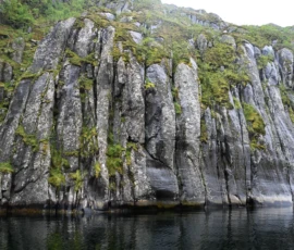 Foto aus „50 Shades of Trollfjord-Grey: Orcas im Wellengang und der große Instagram-Fußballfeld-Fail!“