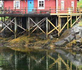 Foto aus „50 Shades of Trollfjord-Grey: Orcas im Wellengang und der große Instagram-Fußballfeld-Fail!“