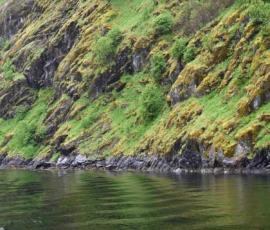 Foto aus „50 Shades of Trollfjord-Grey: Orcas im Wellengang und der große Instagram-Fußballfeld-Fail!“