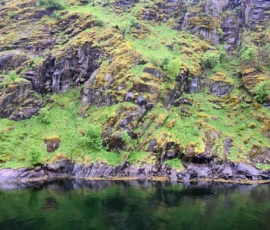 Foto aus „50 Shades of Trollfjord-Grey: Orcas im Wellengang und der große Instagram-Fußballfeld-Fail!“