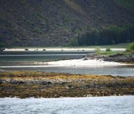Foto aus „50 Shades of Trollfjord-Grey: Orcas im Wellengang und der große Instagram-Fußballfeld-Fail!“