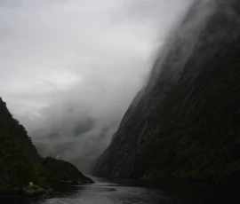 Foto aus „50 Shades of Trollfjord-Grey: Orcas im Wellengang und der große Instagram-Fußballfeld-Fail!“