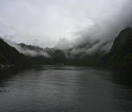 Foto aus „50 Shades of Trollfjord-Grey: Orcas im Wellengang und der große Instagram-Fußballfeld-Fail!“