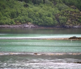 Foto aus „50 Shades of Trollfjord-Grey: Orcas im Wellengang und der große Instagram-Fußballfeld-Fail!“