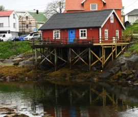 Foto aus „50 Shades of Trollfjord-Grey: Orcas im Wellengang und der große Instagram-Fußballfeld-Fail!“