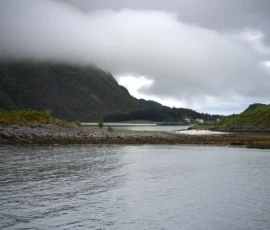 Foto aus „50 Shades of Trollfjord-Grey: Orcas im Wellengang und der große Instagram-Fußballfeld-Fail!“