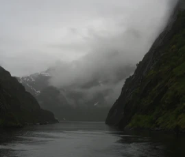 Foto aus „50 Shades of Trollfjord-Grey: Orcas im Wellengang und der große Instagram-Fußballfeld-Fail!“