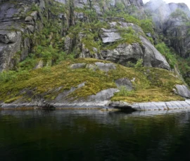 Foto aus „50 Shades of Trollfjord-Grey: Orcas im Wellengang und der große Instagram-Fußballfeld-Fail!“