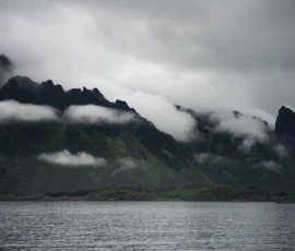 Foto aus „50 Shades of Trollfjord-Grey: Orcas im Wellengang und der große Instagram-Fußballfeld-Fail!“