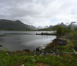 Foto aus „Codstock & Regen-Ping-Pong: Wenn Kabeljau und Wettergott den Takt vorgeben“