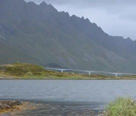 Foto aus „Codstock & Regen-Ping-Pong: Wenn Kabeljau und Wettergott den Takt vorgeben“