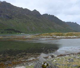 Foto aus „Codstock & Regen-Ping-Pong: Wenn Kabeljau und Wettergott den Takt vorgeben“