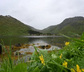 Foto aus „Codstock & Regen-Ping-Pong: Wenn Kabeljau und Wettergott den Takt vorgeben“