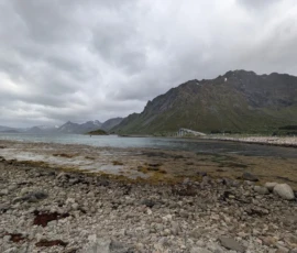 Foto aus „Codstock & Regen-Ping-Pong: Wenn Kabeljau und Wettergott den Takt vorgeben“