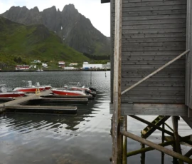 Foto aus „Codstock & Regen-Ping-Pong: Wenn Kabeljau und Wettergott den Takt vorgeben“
