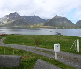 Foto aus „Tunnel-Terror, Zimtschnecken-Deal & arktische Surfer: Reine(s) Gefühlschaos auf dem Weg nach Å“