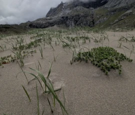 Foto aus „Stufen-Streik, Strand-Sprints & das perfekte Dinner“