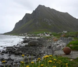 Foto aus „Hey Wickie, Auge in Auge mit dem Drachen und das Panorama-Paradoxon: Sind wir im Liliput-Haus die Aussicht oder haben wir sie?“