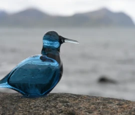 Foto aus „Hey Wickie, Auge in Auge mit dem Drachen und das Panorama-Paradoxon: Sind wir im Liliput-Haus die Aussicht oder haben wir sie?“
