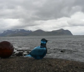 Foto aus „Hey Wickie, Auge in Auge mit dem Drachen und das Panorama-Paradoxon: Sind wir im Liliput-Haus die Aussicht oder haben wir sie?“