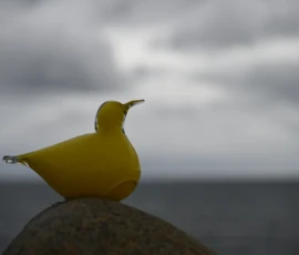 Foto aus „Hey Wickie, Auge in Auge mit dem Drachen und das Panorama-Paradoxon: Sind wir im Liliput-Haus die Aussicht oder haben wir sie?“