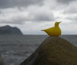 Foto aus „Hey Wickie, Auge in Auge mit dem Drachen und das Panorama-Paradoxon: Sind wir im Liliput-Haus die Aussicht oder haben wir sie?“