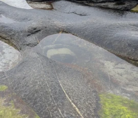 Foto aus „Hey Wickie, Auge in Auge mit dem Drachen und das Panorama-Paradoxon: Sind wir im Liliput-Haus die Aussicht oder haben wir sie?“