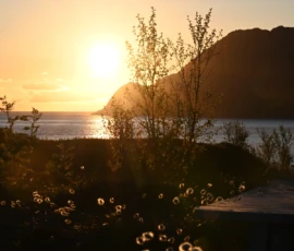Foto aus „Husøy um Mitternacht: Warum James Bond auf dieser Schurkeninsel eine Sonnenbrille braucht“