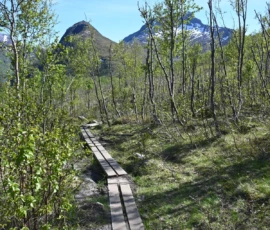 Foto aus „Lizenz zum Schnaufen: Durch Schurkentunnel und über Stock und Stein zum Blick auf den Segla“