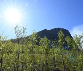 Foto aus „Lizenz zum Schnaufen: Durch Schurkentunnel und über Stock und Stein zum Blick auf den Segla“