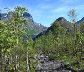 Foto aus „Lizenz zum Schnaufen: Durch Schurkentunnel und über Stock und Stein zum Blick auf den Segla“