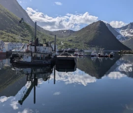 Foto aus „„Liebesgrüße vom Fjellheisen: Leben und sterben lassen in der Gondel“ und „Moxy-Royale: Ein Quantum Postkarten-Hoffnung““