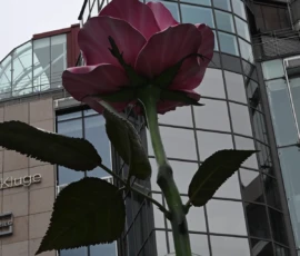 Foto aus „Wie man 100.000 € verliert und trotzdem im exklusivsten Viertel Oslos landet“