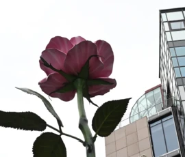 Foto aus „Wie man 100.000 € verliert und trotzdem im exklusivsten Viertel Oslos landet“