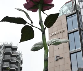 Foto aus „Wie man 100.000 € verliert und trotzdem im exklusivsten Viertel Oslos landet“