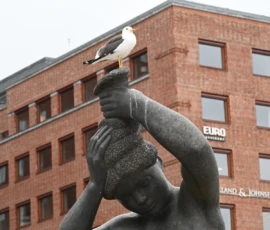 Foto aus „Wie man 100.000 € verliert und trotzdem im exklusivsten Viertel Oslos landet“