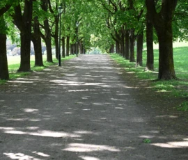 Foto aus „Zwischen Höhenflug am Holmenkollen und Paris-Panik in Oslo: Das Doppelrot- und Klinken-Mysterium“