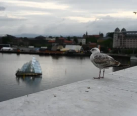 Foto aus „Schlaflos in Oslo: Zwischen Party-Nachbarn, Mona-Lisa-Moment und Schrei-Déjà-vu“